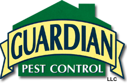Pest Control Enfield